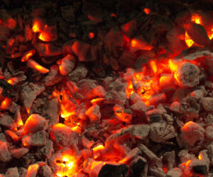 פחמים למנגל